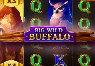 Игра Big Wild Buffalo в SpaceWin Casino